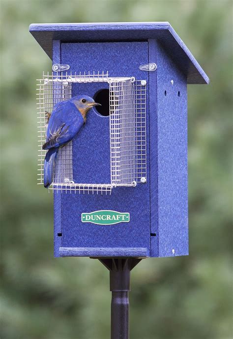 metal poles for bluebird houses|base mounted bird house pole.